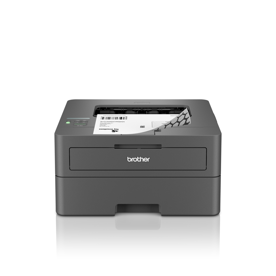 Принтер Brother HL-L2445DW